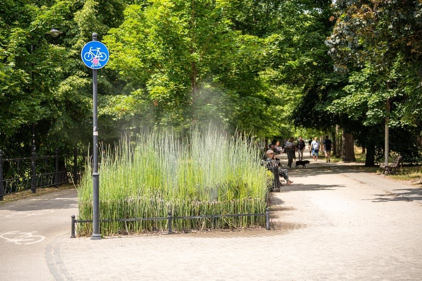 Zraszacze przy Promenadzie Staromiejskiej